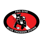 pro-dive-logo.webp